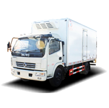 ������ϵ��